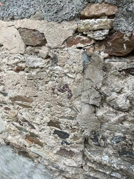 Maisonnette De Pecheur L'Aubraie Eksteriør billede